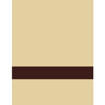 Gemini Laser XT, Beige/Chocole Bruin 