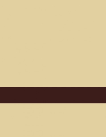Gemini Laser XT, Beige/Chocole Bruin 