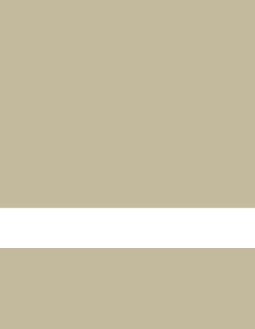 Gemini Laser Reverse, Transparant/Beige 