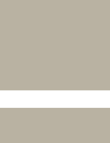 Gemini Laser Reverse, Transparant/Khaki 